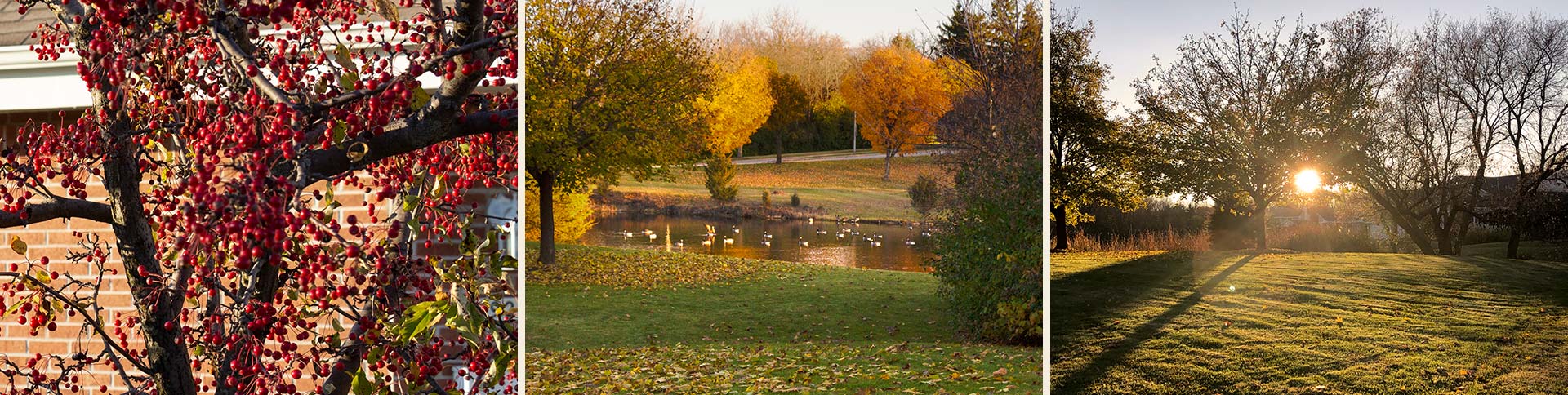 Overlooklakes Condos