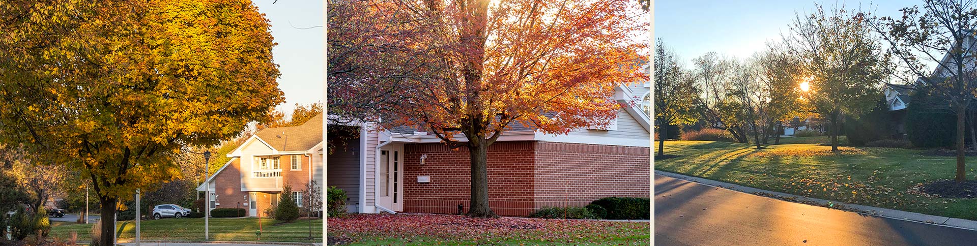 Overlooklakes Condos