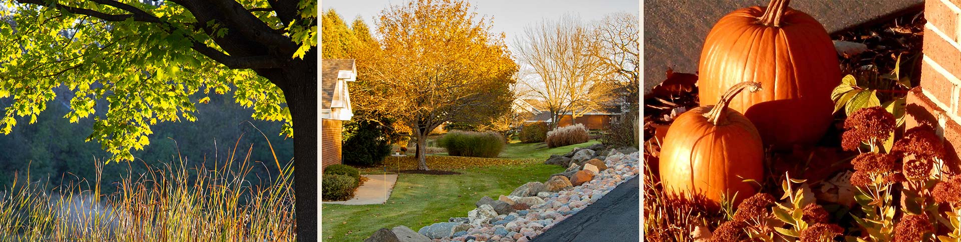 Overlooklakes Condos