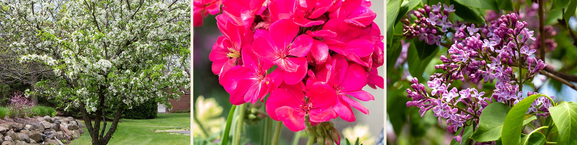 Overlooklakes Condos