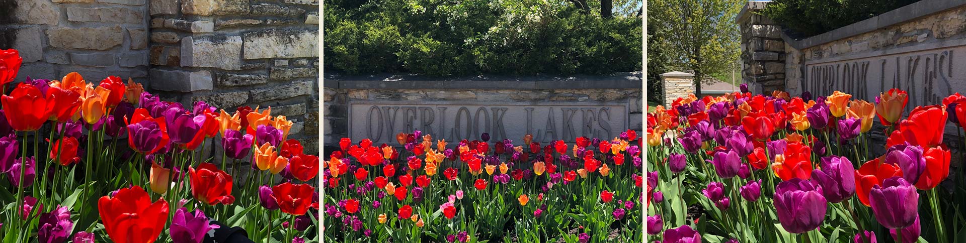 Overlooklakes Condos