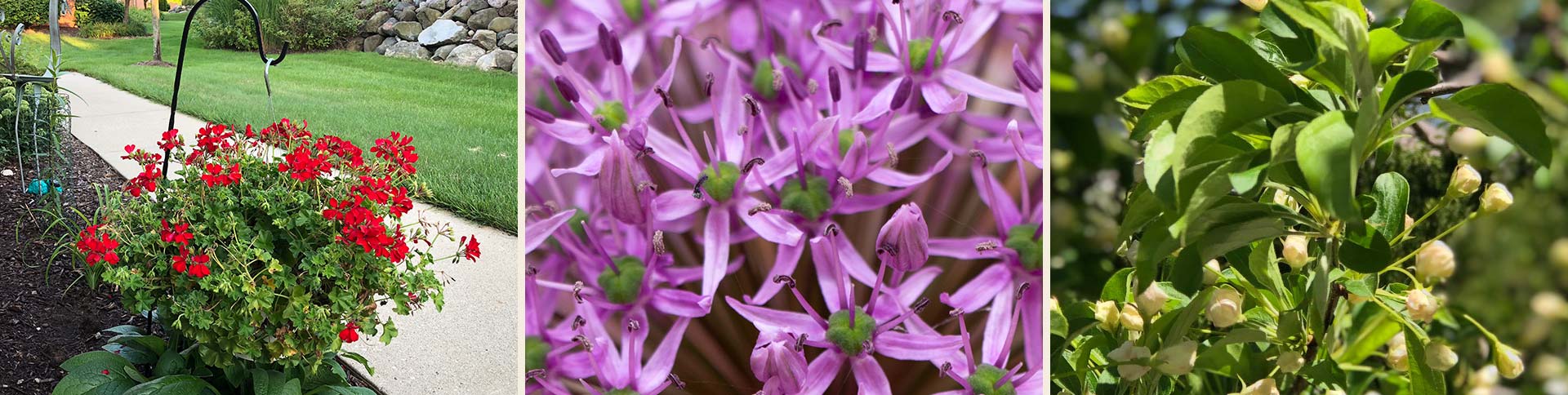 Overlooklakes Condos