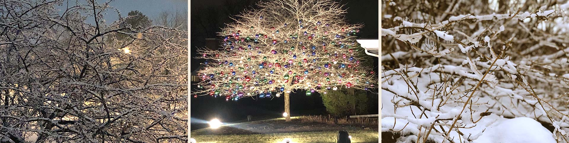 Overlooklakes Condos